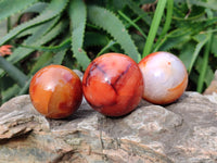 Polished Carnelian Agate Spheres x 6 From Madagascar - Toprock Gemstones and Minerals 