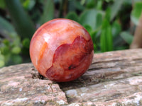 Polished Carnelian Agate Spheres x 6 From Madagascar - Toprock Gemstones and Minerals 