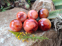 Polished Carnelian Agate Spheres x 6 From Madagascar - Toprock Gemstones and Minerals 