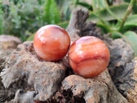 Polished Carnelian Agate Spheres x 6 From Madagascar - Toprock Gemstones and Minerals 