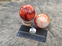 Polished Carnelian Agate Spheres x 6 From Madagascar - Toprock Gemstones and Minerals 