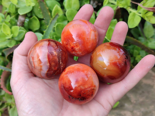 Polished Carnelian Agate Spheres x 6 From Madagascar