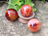 Polished Carnelian Agate Spheres x 6 From Madagascar - Toprock Gemstones and Minerals 