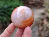 Polished Carnelian Agate Spheres x 6 From Madagascar - Toprock Gemstones and Minerals 