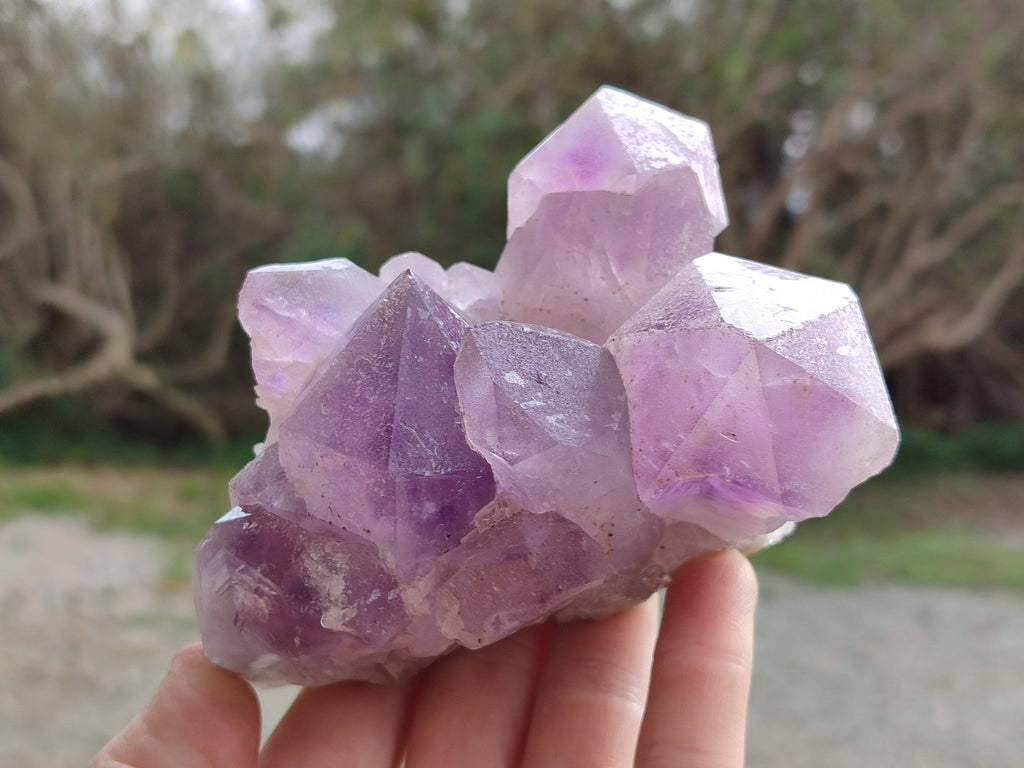 Natural Jacaranda Amethyst Clusters x 2 From Zambia - Toprock Gemstones and Minerals 