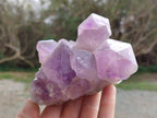 Natural Jacaranda Amethyst Clusters x 2 From Zambia - Toprock Gemstones and Minerals 