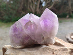 Natural Jacaranda Amethyst Clusters x 2 From Zambia - Toprock Gemstones and Minerals 