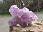 Natural Jacaranda Amethyst Clusters x 2 From Zambia - Toprock Gemstones and Minerals 