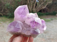 Natural Jacaranda Amethyst Clusters x 2 From Zambia - Toprock Gemstones and Minerals 