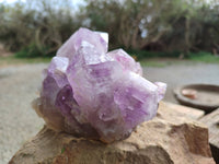 Natural Jacaranda Amethyst Clusters x 2 From Zambia - Toprock Gemstones and Minerals 