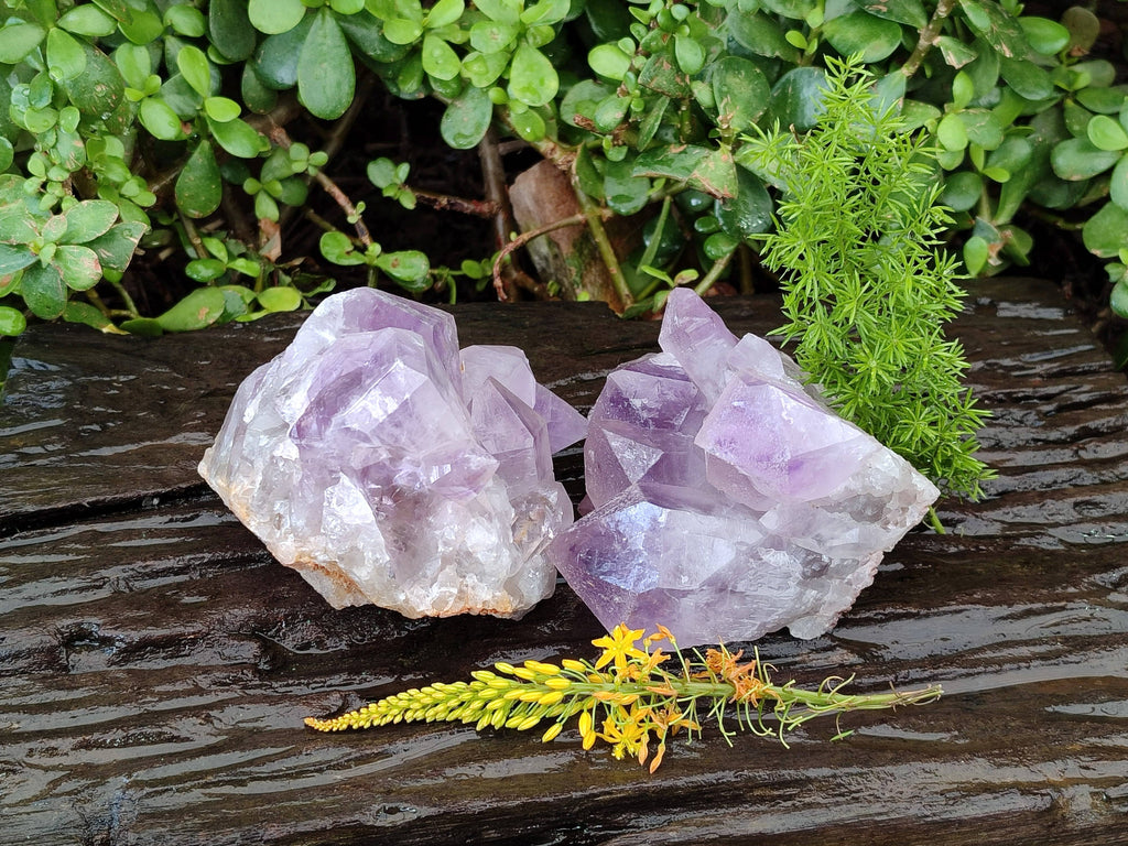 Natural Jacaranda Amethyst Clusters x 2 From Zambia - Toprock Gemstones and Minerals 
