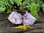 Natural Jacaranda Amethyst Clusters x 2 From Zambia - Toprock Gemstones and Minerals 