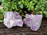 Natural Jacaranda Amethyst Clusters x 2 From Zambia - Toprock Gemstones and Minerals 