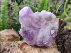 Natural Jacaranda Amethyst Clusters x 2 From Zambia - Toprock Gemstones and Minerals 