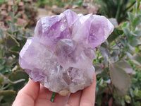 Natural Jacaranda Amethyst Clusters x 2 From Zambia - Toprock Gemstones and Minerals 