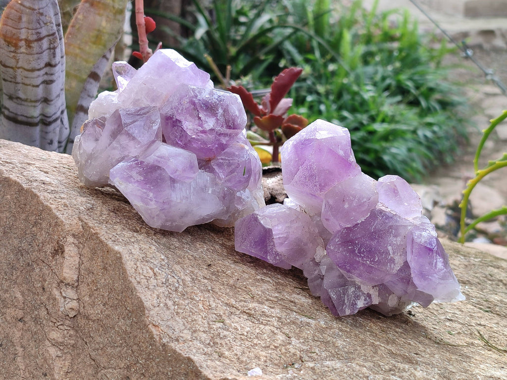 Natural Jacaranda Amethyst Clusters x 2 From Zambia - Toprock Gemstones and Minerals 