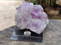 Natural Jacaranda Amethyst Clusters x 2 From Zambia - Toprock Gemstones and Minerals 