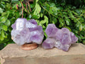 Natural Jacaranda Amethyst Clusters x 2 From Zambia - Toprock Gemstones and Minerals 