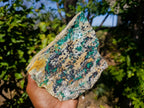 Natural Drusy Coated Chrysocolla On Dolomite Specimen x 1 From Congo - Toprock Gemstones and Minerals 
