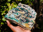 Natural Drusy Coated Chrysocolla On Dolomite Specimen x 1 From Congo - Toprock Gemstones and Minerals 