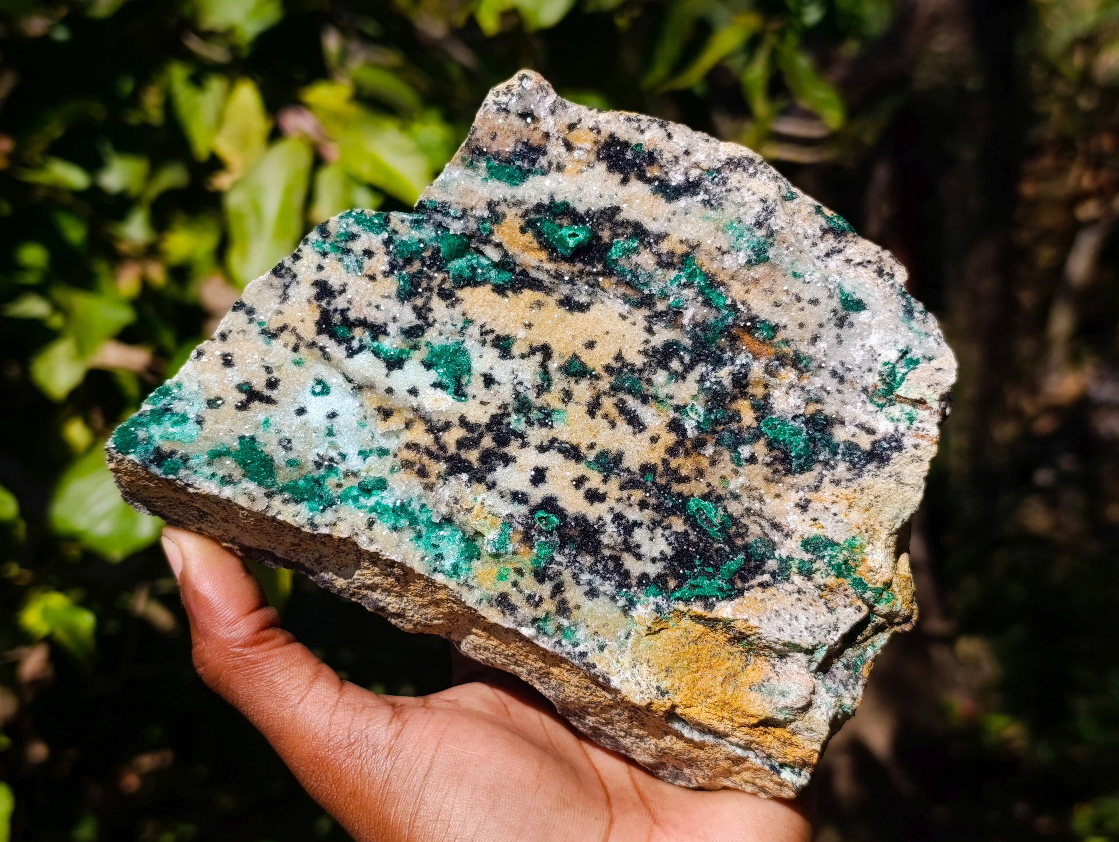 Natural Drusy Coated Chrysocolla On Dolomite Specimen x 1 From Congo - Toprock Gemstones and Minerals 