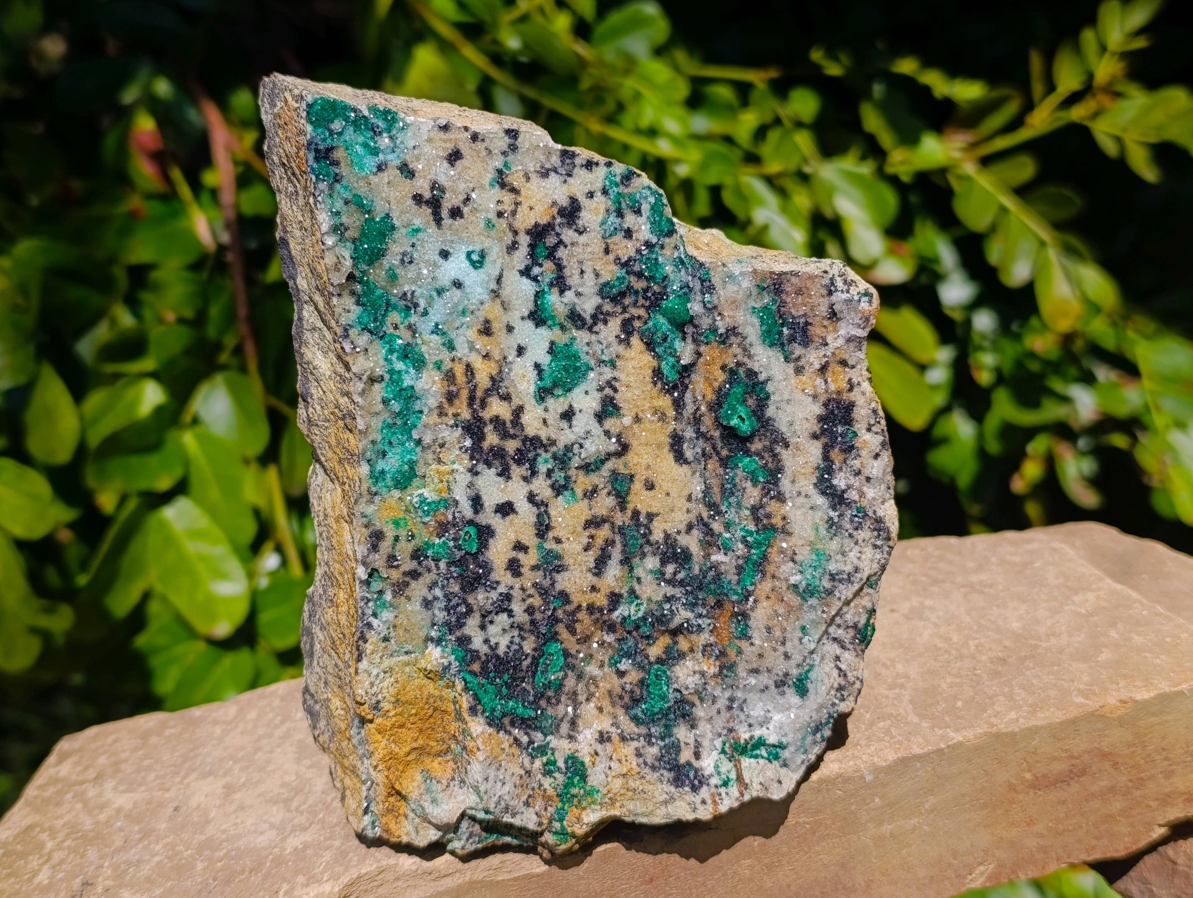 Natural Drusy Coated Chrysocolla On Dolomite Specimen x 1 From Congo - Toprock Gemstones and Minerals 
