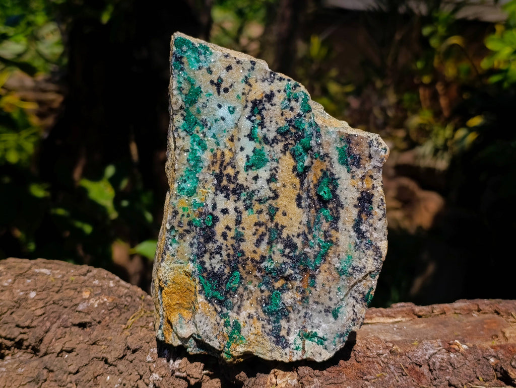 Natural Drusy Coated Chrysocolla On Dolomite Specimen x 1 From Congo - Toprock Gemstones and Minerals 
