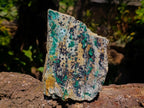 Natural Drusy Coated Chrysocolla On Dolomite Specimen x 1 From Congo - Toprock Gemstones and Minerals 