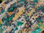 Natural Drusy Coated Chrysocolla On Dolomite Specimen x 1 From Congo - Toprock Gemstones and Minerals 