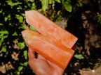 Polished Orange Twist Calcite Points x 2 From Madagascar - Toprock Gemstones and Minerals 
