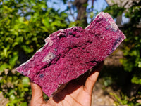 Natural Drusy Salrose on Dolomite Matrix Specimens x 2 From Kakanda, Congo - Toprock Gemstones and Minerals 