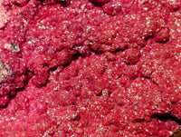 Natural Drusy Salrose on Dolomite Matrix Specimens x 2 From Kakanda, Congo - Toprock Gemstones and Minerals 