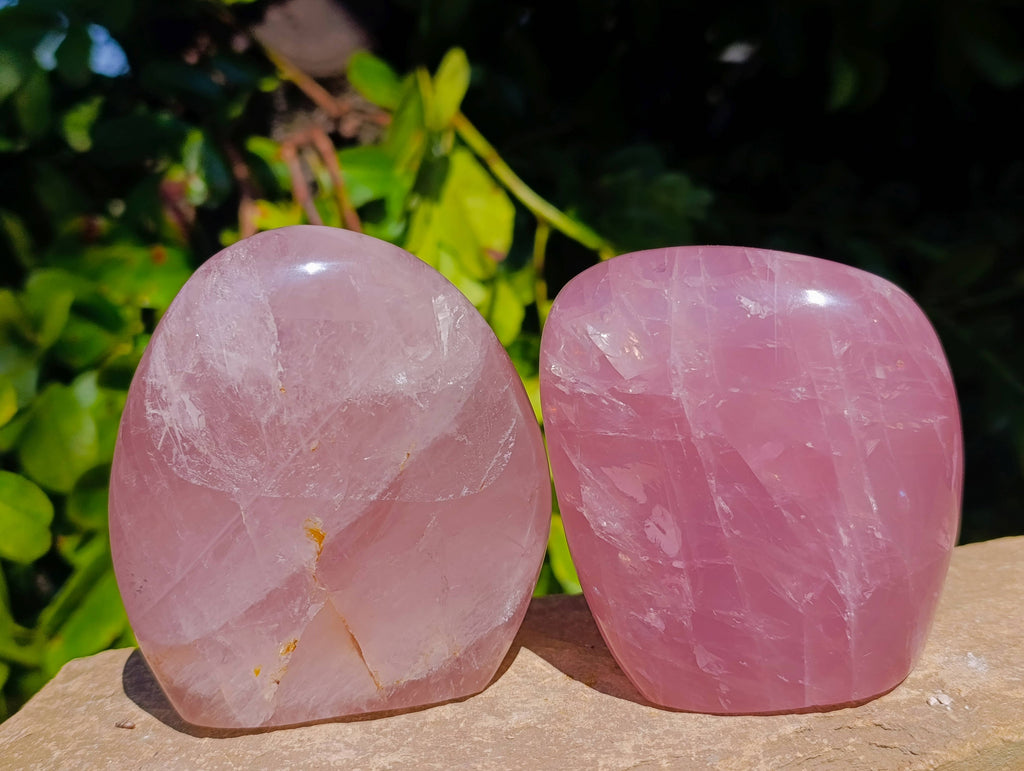 Polished Rose Quartz Standing Free Forms x 2 From Madagascar - Toprock Gemstones and Minerals 