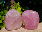 Polished Rose Quartz Standing Free Forms x 2 From Madagascar - Toprock Gemstones and Minerals 