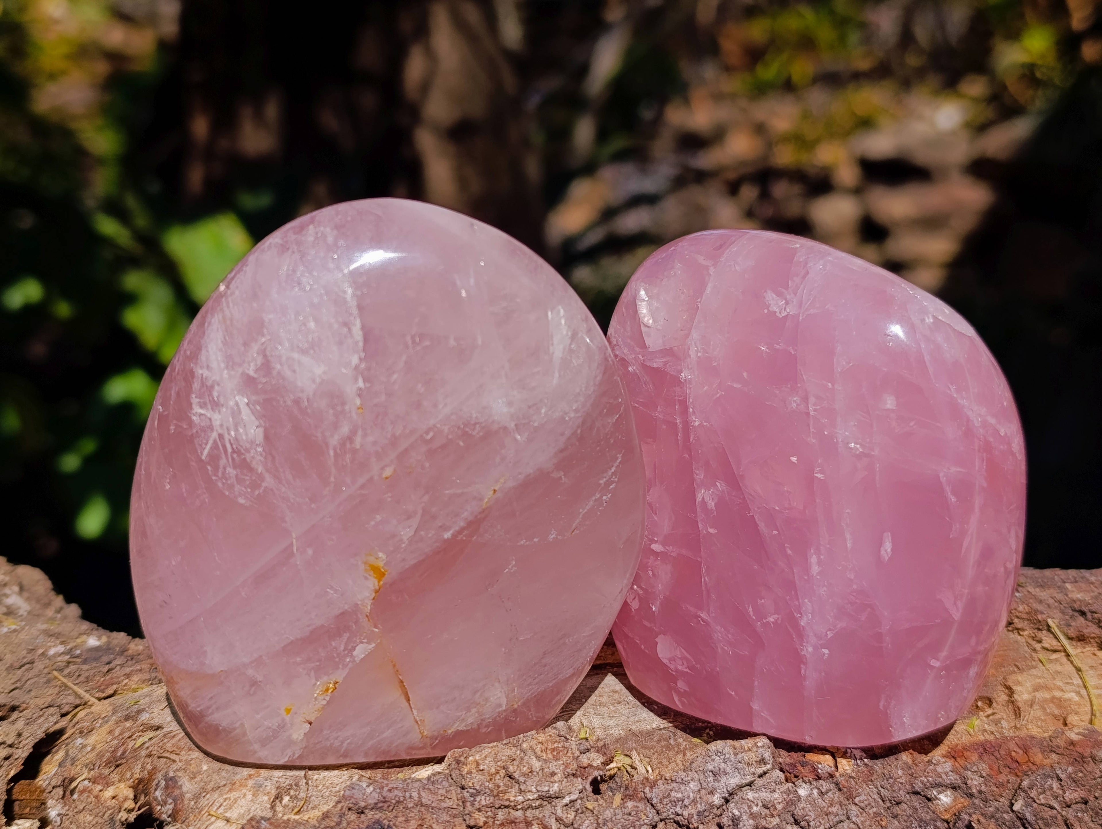 Polished Rose Quartz Standing Free Forms x 2 From Madagascar - Toprock Gemstones and Minerals 