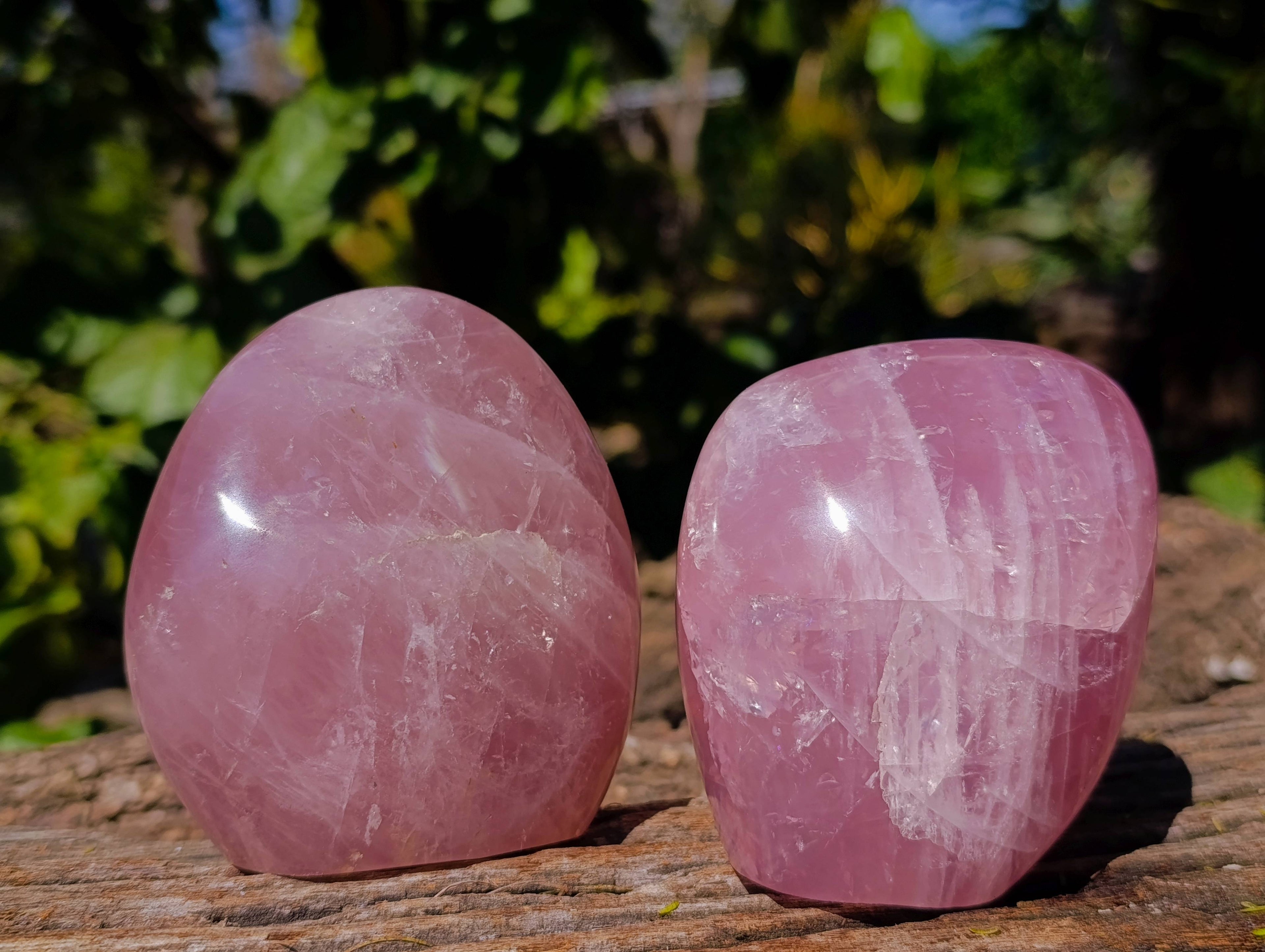 Polished Rose Quartz Standing Free Forms x 2 From Madagascar - Toprock Gemstones and Minerals 