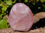 Polished Rose Quartz Standing Free Forms x 2 From Madagascar - Toprock Gemstones and Minerals 