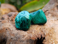 Polished Flower Banded Malachite Free Forms x 70 From Congo - Toprock Gemstones and Minerals 