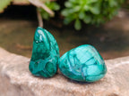 Polished Flower Banded Malachite Free Forms x 70 From Congo - Toprock Gemstones and Minerals 