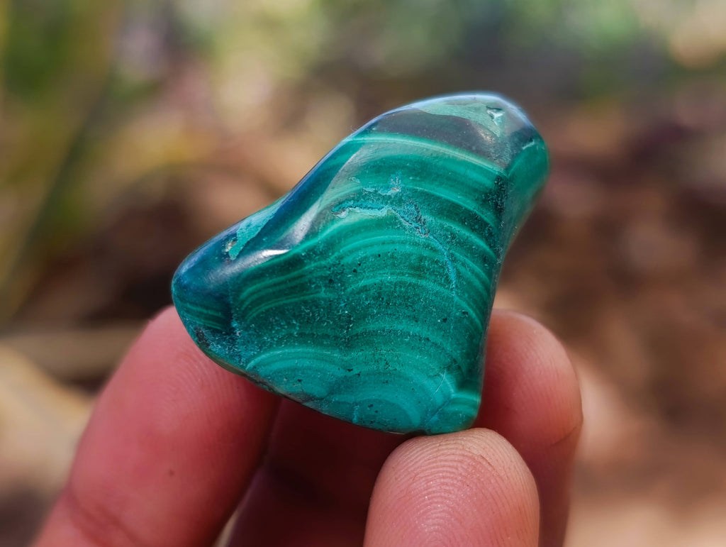 Polished Flower Banded Malachite Free Forms x 70 From Congo - Toprock Gemstones and Minerals 