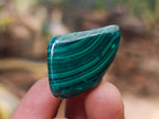 Polished Flower Banded Malachite Free Forms x 70 From Congo - Toprock Gemstones and Minerals 