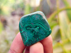 Polished Flower Banded Malachite Free Forms x 70 From Congo - Toprock Gemstones and Minerals 