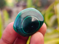 Polished Flower Banded Malachite Free Forms x 70 From Congo - Toprock Gemstones and Minerals 