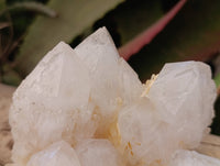 Natural Candle Quartz Clusters x 3 From Madagascar