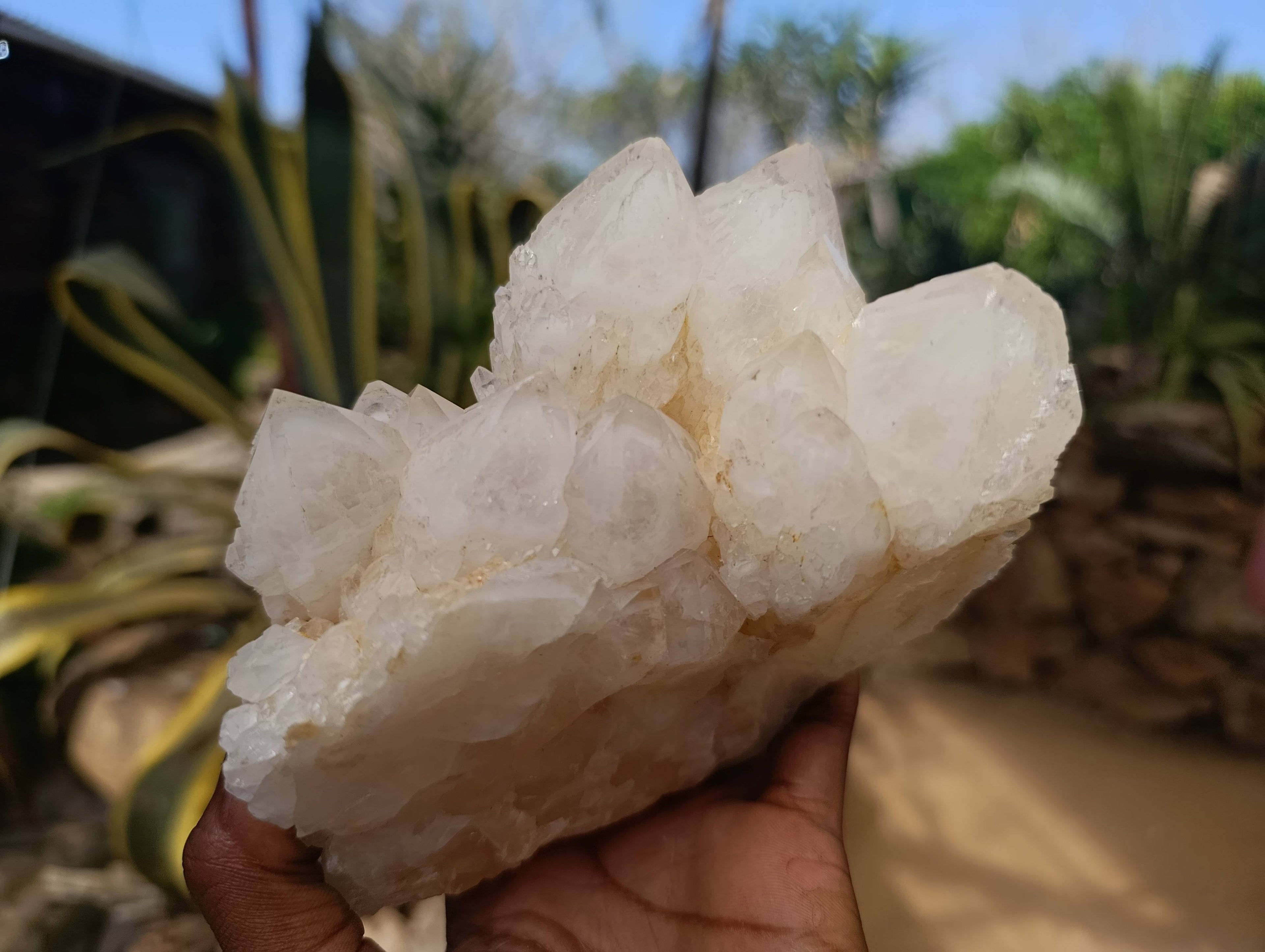 Natural Candle Quartz Clusters x 3 From Madagascar - Toprock Gemstones and Minerals 