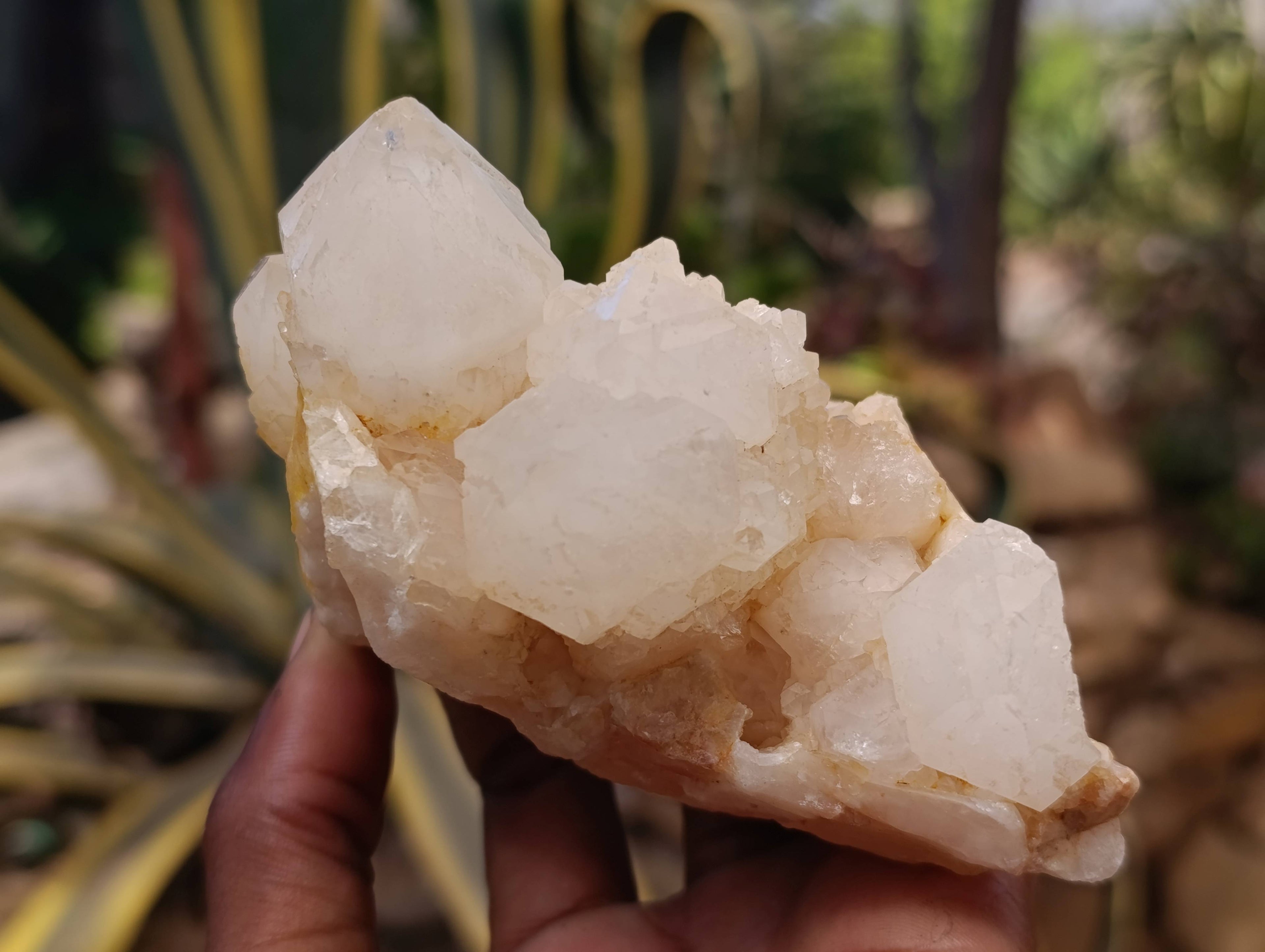 Natural Candle Quartz Clusters x 3 From Madagascar - Toprock Gemstones and Minerals 