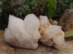Natural Candle Quartz Clusters x 3 From Madagascar - Toprock Gemstones and Minerals 