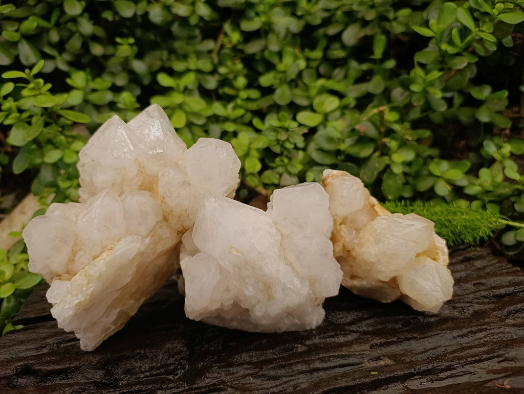 Natural Candle Quartz Clusters x 3 From Madagascar - Toprock Gemstones and Minerals 
