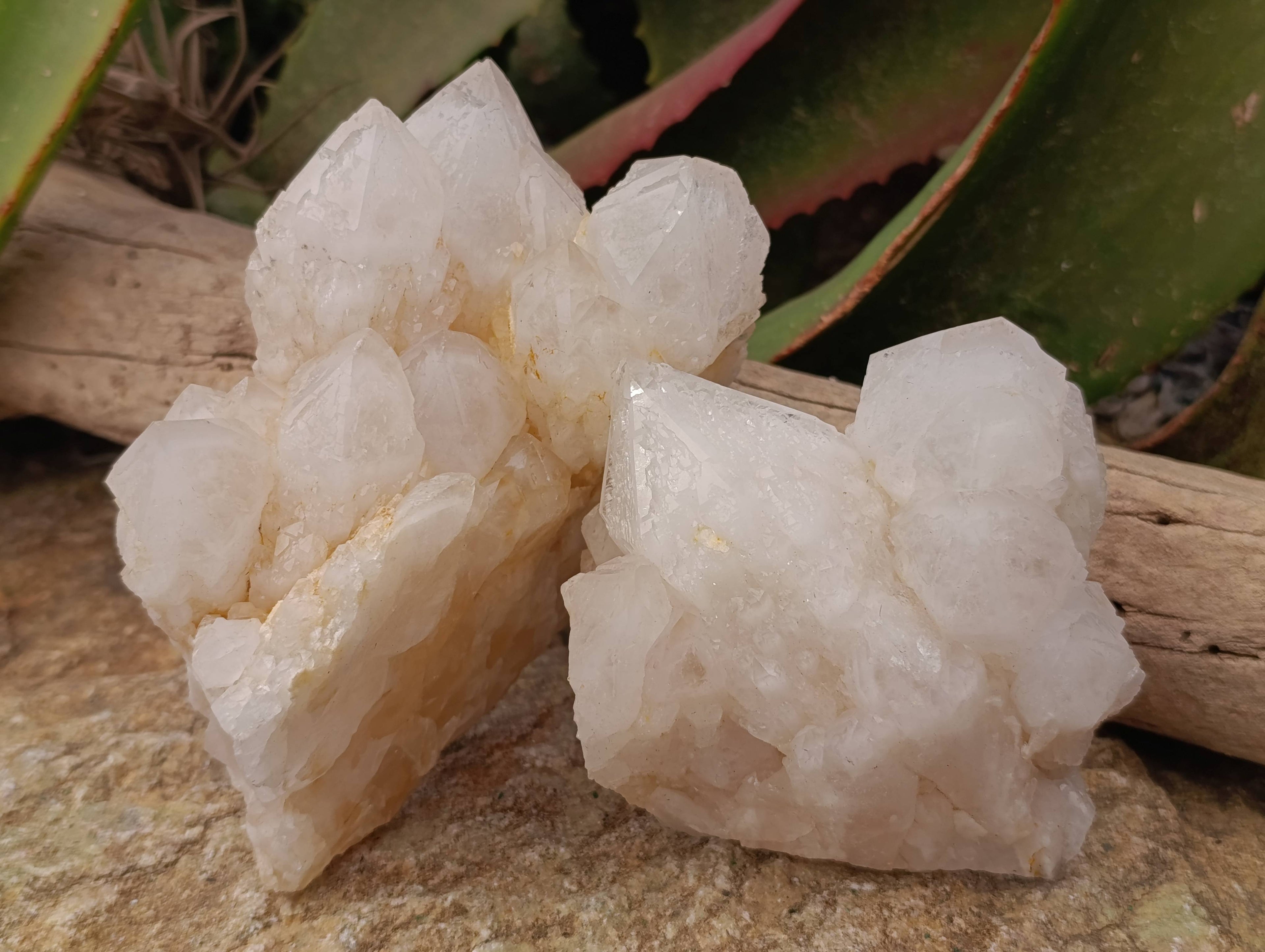 Natural Candle Quartz Clusters x 3 From Madagascar - Toprock Gemstones and Minerals 