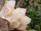 Natural Candle Quartz Clusters x 3 From Madagascar - Toprock Gemstones and Minerals 